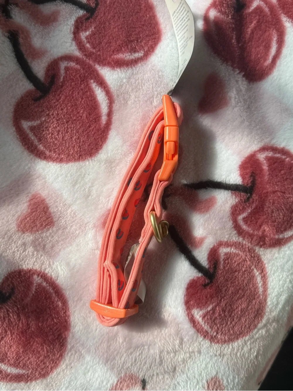 Top Paw Small Dog Collar